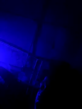 jordontheone1 online show from 5, 11, 2025