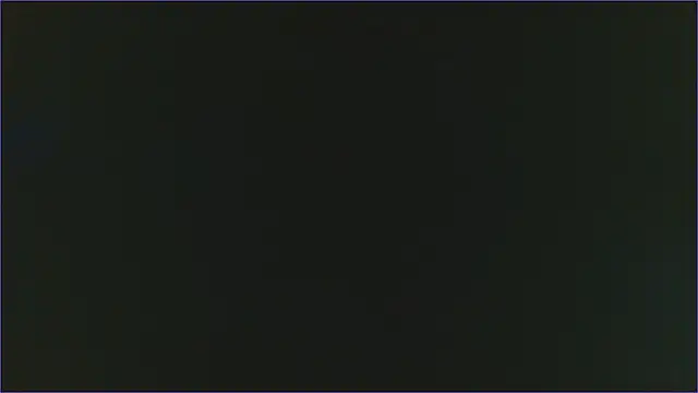 Geisha Seniers online show from 13, 2, 2025