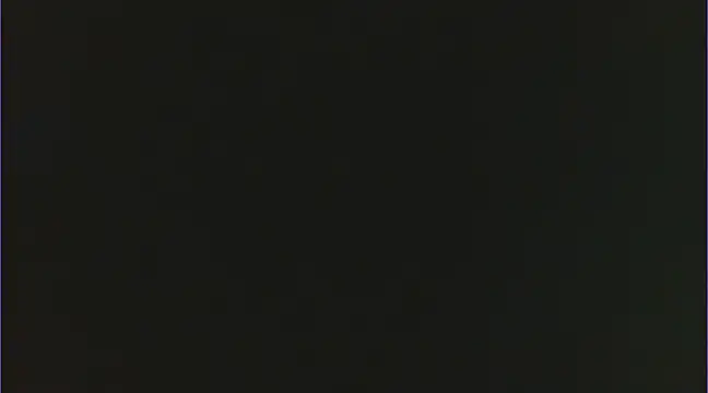 Geisha Seniers online show from 15, 2, 2025