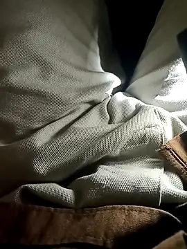 Snapshot of bangaloresexyguy chatting on 31, 1, 2026 bangaloresexyguy online show from 31, 1, 2026