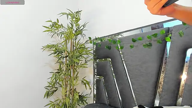 Black Rose2 online show from 10, 2, 2025