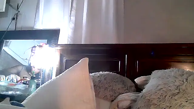 paiday online show from 4, 12, 2024