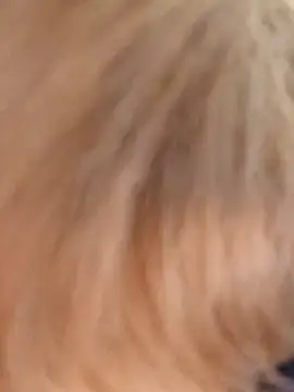 Unforgettable ket online show from 15, 1, 2025