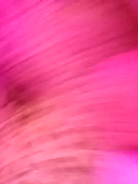 AvaChannel online show from 20, 12, 2025