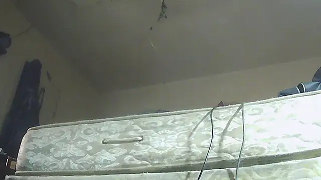 Snapshot of pipeload1275 chatting on 13, 1, 2026 pipeload1275 online show from 13, 1, 2026