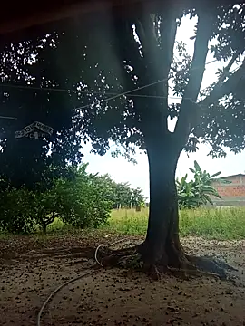 Snapshot of natally_ross21 chatting on 9, 2, 2026 natally ross21 online show from 9, 2, 2026