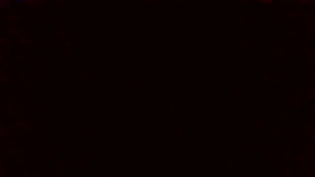 Tinny and Candy online show from 22, 1, 2025