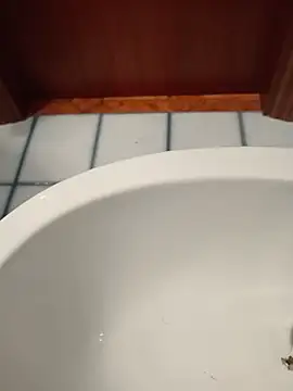 Snapshot of Durovoglioso2 chatting on 15, 3, 2026 Durovoglioso2 online show from 15, 3, 2026