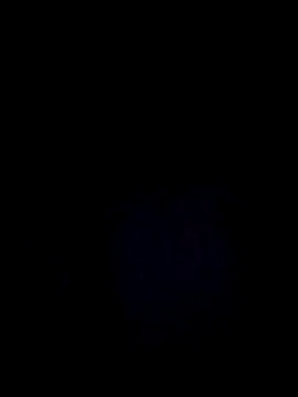 StaciGoodman online show from 29, 12, 2024