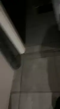 Snapshot of Ariel_Ari chatting on 24, 12, 2024 Ariel Ari online show from 24, 12, 2024