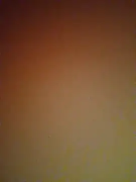 Snapshot of mendelicius chatting on 27, 2, 2025 mendelicius online show from 27, 2, 2025