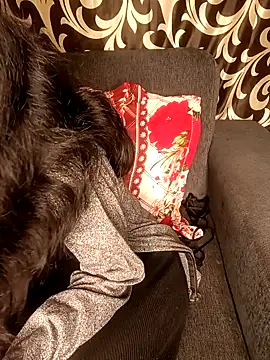 Snapshot of REVA_DARLING chatting on 11, 1, 2025 REVA DARLING online show from 11, 1, 2025