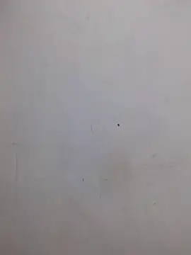 Snapshot of AmnionicDemeanor chatting on 31, 10, 2025 AmnionicDemeanor online show from 31, 10, 2025