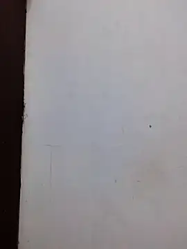 Snapshot of AmnionicDemeanor chatting on 2, 11, 2025 AmnionicDemeanor online show from 2, 11, 2025