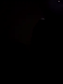 Camille jhonson online show from 1, 3, 2026