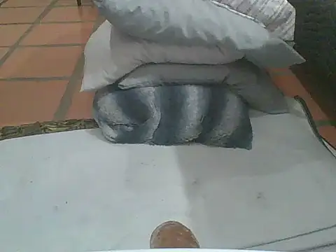 Snapshot of MrPatrick777 chatting on 4, 2, 2026 MrPatrick777 online show from 4, 2, 2026