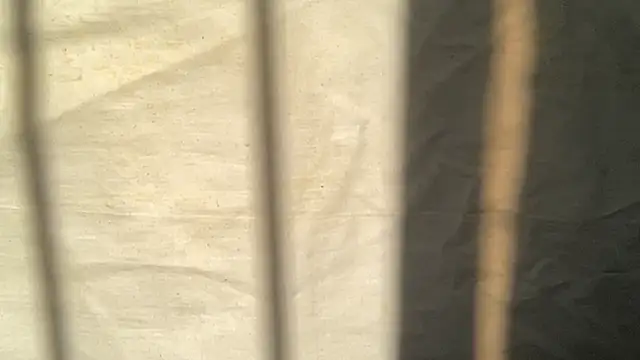 Snapshot of beforeyou69 chatting on 6, 11, 2025 beforeyou69 online show from 6, 11, 2025