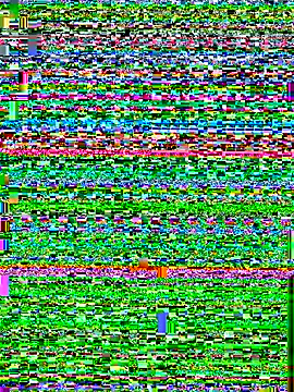 king cum  online show from 25, 10, 2025