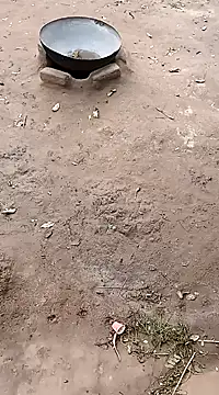 hairipussy2 online show from 20, 2, 2025