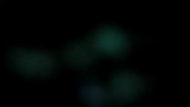 leatherz69 online show from 10, 2, 2025