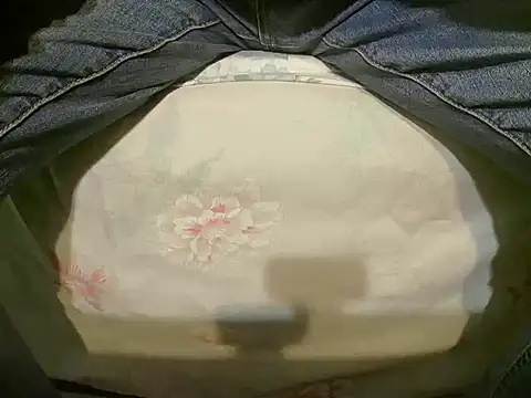 Tiger202441 online show from 19, 12, 2024