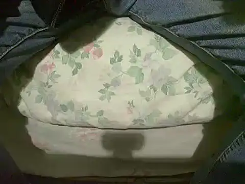 Tiger202441 online show from 12, 1, 2025