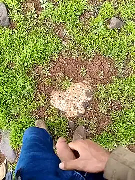 murokkk31 online show from 1, 4, 2026