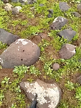 murokkk31 online show from 3, 4, 2026