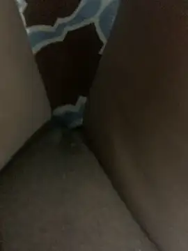 WyvaxxNikkie online show from 23, 1, 2025