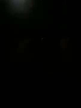 Jsp833 online show from 17, 4, 2026