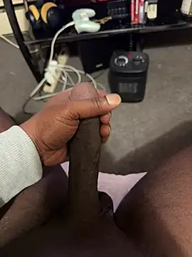 Cameltoekilla online show from 12, 2, 2026