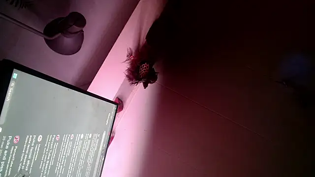 Snapshot of Gigadickman chatting on 13, 12, 2024 Gigadickman online show from 13, 12, 2024