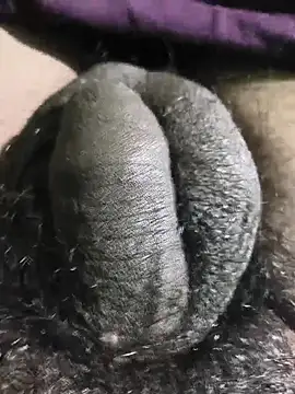 rajrahulovi online show from 13, 2, 2026