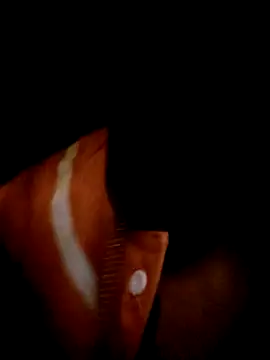 Snapshot of ale3J4a chatting on 2, 2, 2025 ale3J4a online show from 2, 2, 2025