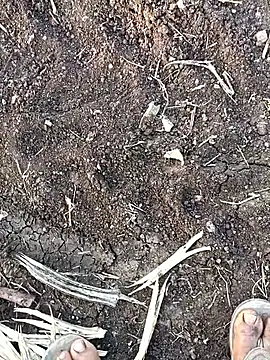 Snapshot of sexy_yashu_006 chatting on 10, 11, 2025 sexy yashu 006 online show from 10, 11, 2025