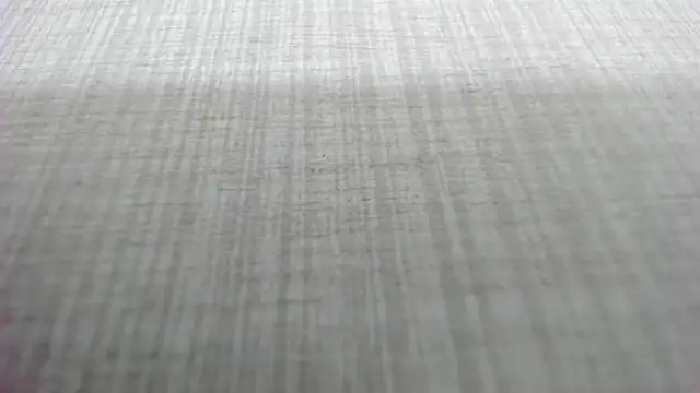 AishaRouhi online show from 4, 3, 2026