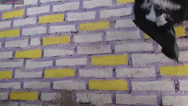 Lukas strong online show from 8, 11, 2025