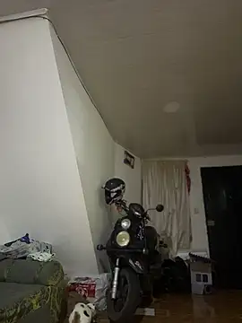 Emiily lee online show from 10, 3, 2026