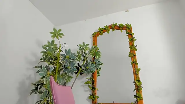 Snapshot of BonnieCute_ chatting on 25, 2, 2026 BonnieCute online show from 25, 2, 2026