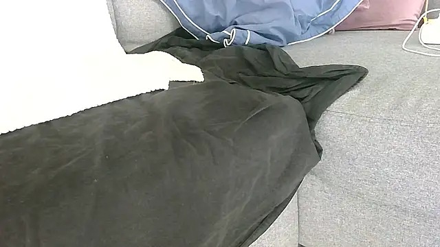 petardroutier online show from 12, 1, 2026