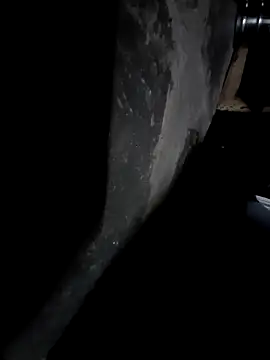 Snapshot of sandip-bhai chatting on 25, 12, 2024 sandip-bhai online show from 25, 12, 2024