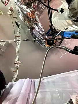 gurlnips online show from 26, 11, 2025