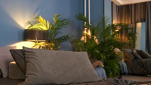  keeti  online show from 1, 11, 2025