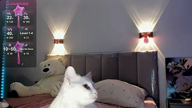 diana nier online show from 8, 9, 2025