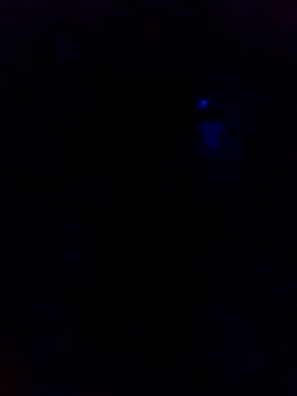 dotado20robson online show from 16, 2, 2026