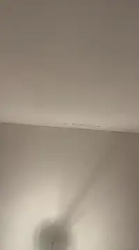 Snapshot of petan33 chatting on 18, 12, 2024 petan33 online show from 18, 12, 2024