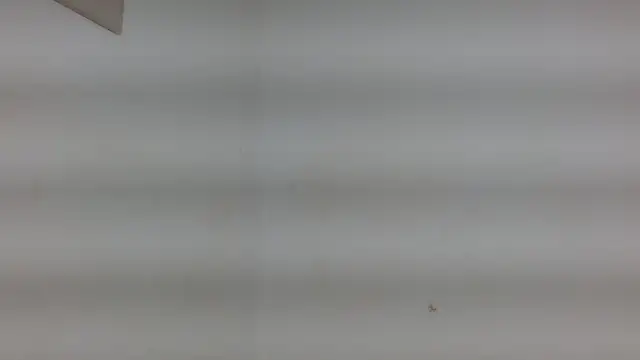 yulissa18 online show from 29, 1, 2025