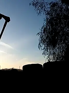 Snapshot of luke_thighwalker2469 chatting on 31, 12, 2024 luke thighwalker2469 online show from 31, 12, 2024