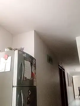 cazaperdidas online show from 3, 3, 2026