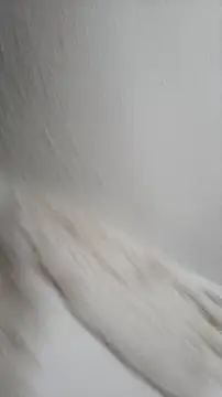 Siriss boyrag online show from 22, 11, 2025